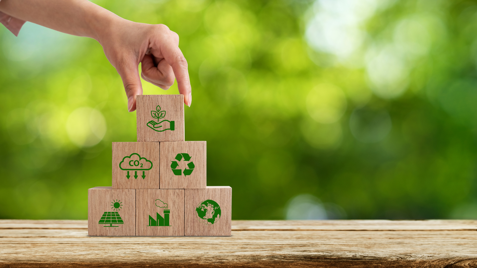 Green Evolution Lab: la formazione sulla sostenibilità parte dai bisogni delle imprese